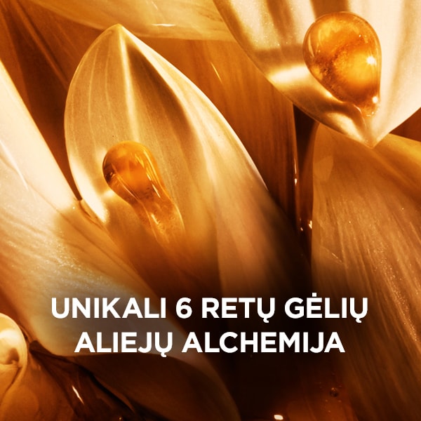 3600522214892  LT 11